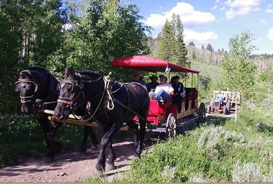 Parade Rest Ranch West Yellowstone Eksteriør bilde